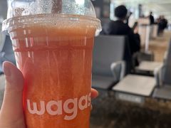 -Wagas沃歌斯(浦东机场店)