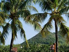 -亚龙湾国际玫瑰谷