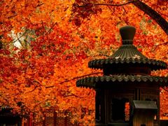 -香山公园