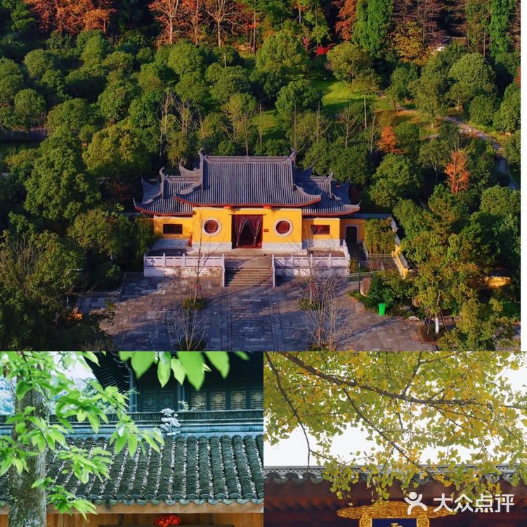 安吉跨年攻略｜2021跨年首选这4家