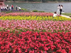 -广州市石门国家森林公园