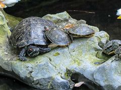 -普陀山风景名胜区-法雨禅寺