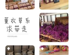 纪念品-薰衣草NE庄园