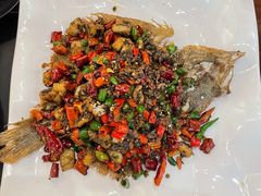 -庆合府重庆大排档(紫都城店)