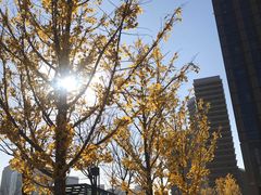 -星巴克(北京通州新光大中心店)