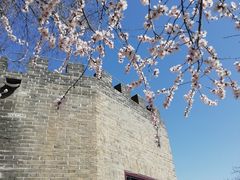-桃花堤公园