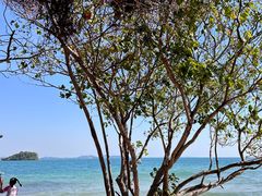 -芭提雅MAX泰拳馆