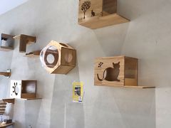 -藏猫猫咖啡主题馆(中央大道店)