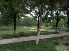 -汉长安城未央宫国家考古遗址公园