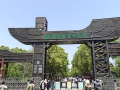 -溱湖国家湿地公园