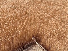 -野鸭湖国家湿地公园