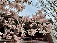 -潭柘寺景区
