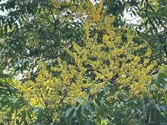 -苏州河梦清园环保主题公园