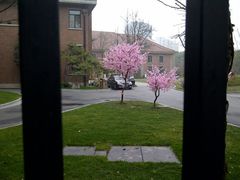 -上海瑞金洲际酒店