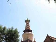 -张掖大佛寺景区