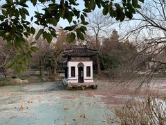 -扬州大运河文化旅游度假区·盆景园