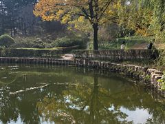 -黑龙江省森林植物园
