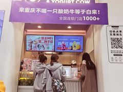 门面-一只酸奶牛(八一路店)