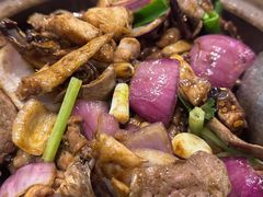 -胡须佬鸡煲四季火锅店(石厦西村直营店)