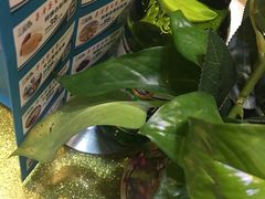 -三品香·江浙菜(松江九谊店)