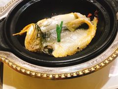 金锅焗东海黄鱼-御仙都北京菜馆·烤鸭店(双井店)