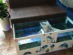 -青岛东方影都融创水世界