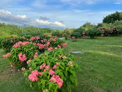 -深圳湾公园(南山区)