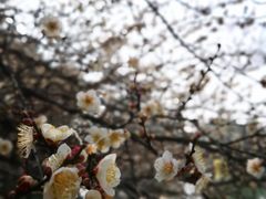 景点-宝岩生态观光园