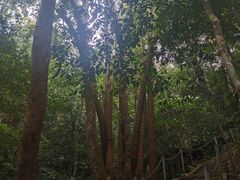 -七仙岭温泉国家森林公园