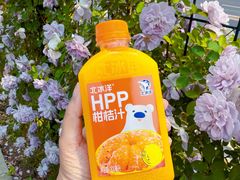-北京国子监胡同