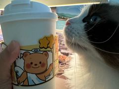 -YOLO COFFEE悠乐咖啡