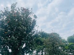 -汉长安城未央宫国家考古遗址公园