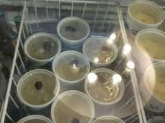 -龙老五汤店(站前西路店)