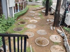 -蘇河湾·新鲁菜·泰山宴(泰山店)