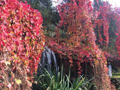 -北京积水潭医院-停车场