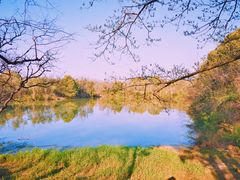 -西溪国家湿地公园