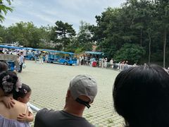 -棒棰岛宾馆景区