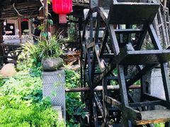 -青城甲(青城山店)