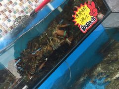 水产区-港畔赶海蒸汽海鲜烧烤自助(仙螺岛店)