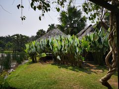 -中国科学院西双版纳热带植物园