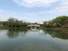 -苏州太湖国家湿地公园