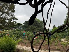 -国家植物园南园