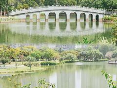 -四海公园(南山区)