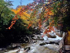 -青峰峡国家森林公园