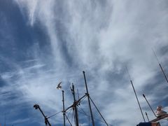 -Steveston Pizza Company (Richmond)