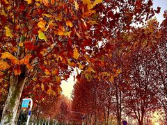 -南京金牛湖风景区