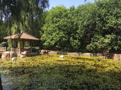 景点-沈阳植物园