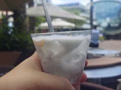 花生椰奶冻-蔡澜Pho·越南粉餐厅(海上世界店)