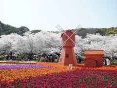 -苏州上方山国家森林公园
