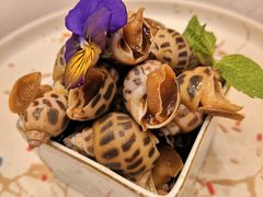 冰脆花螺-顺福苑·新派淮扬菜